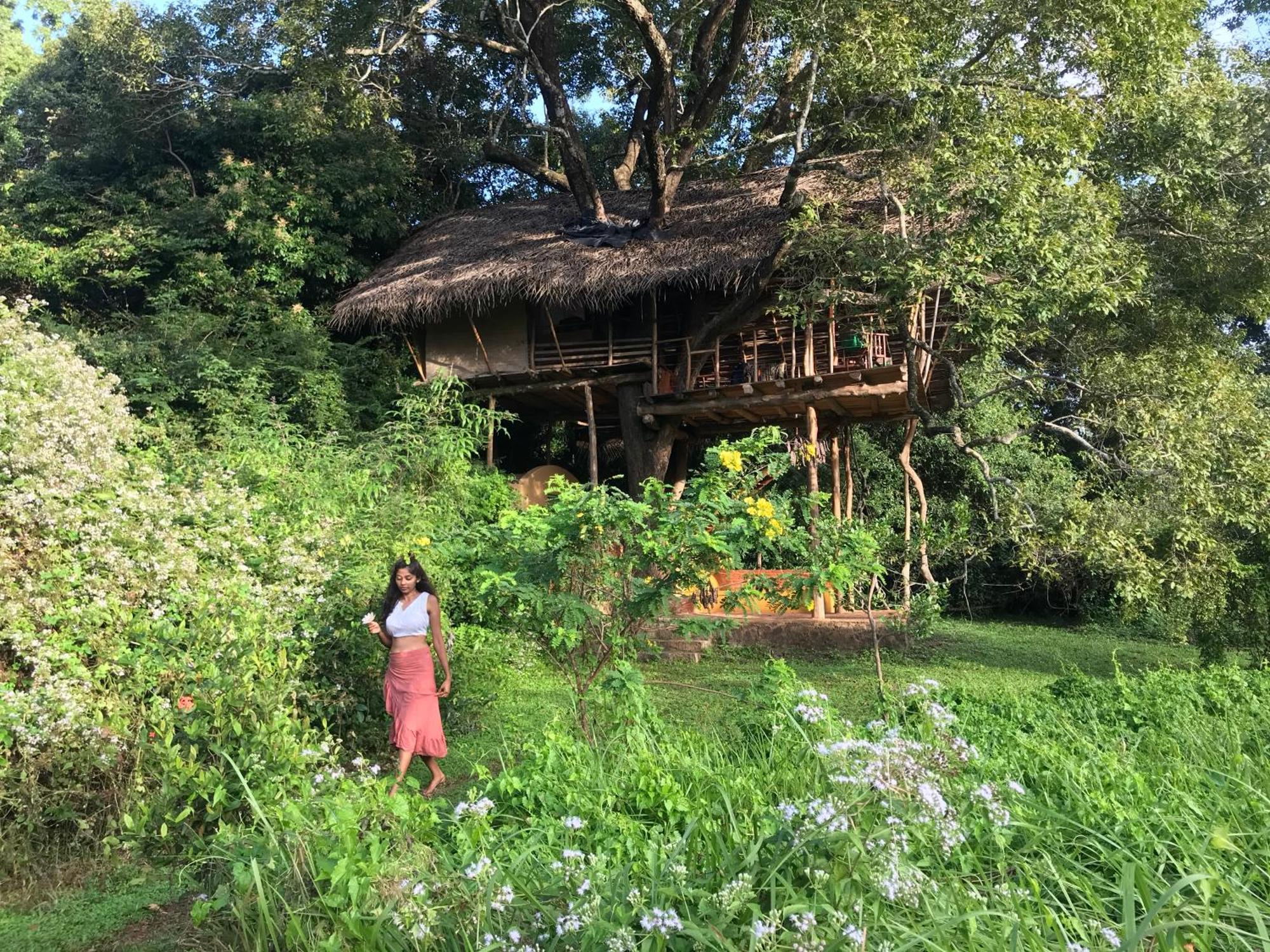 Back Of Beyond - Wild Haven Villa Сигирия Екстериор снимка