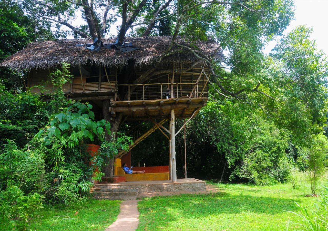Back Of Beyond - Wild Haven Villa Сигирия Екстериор снимка