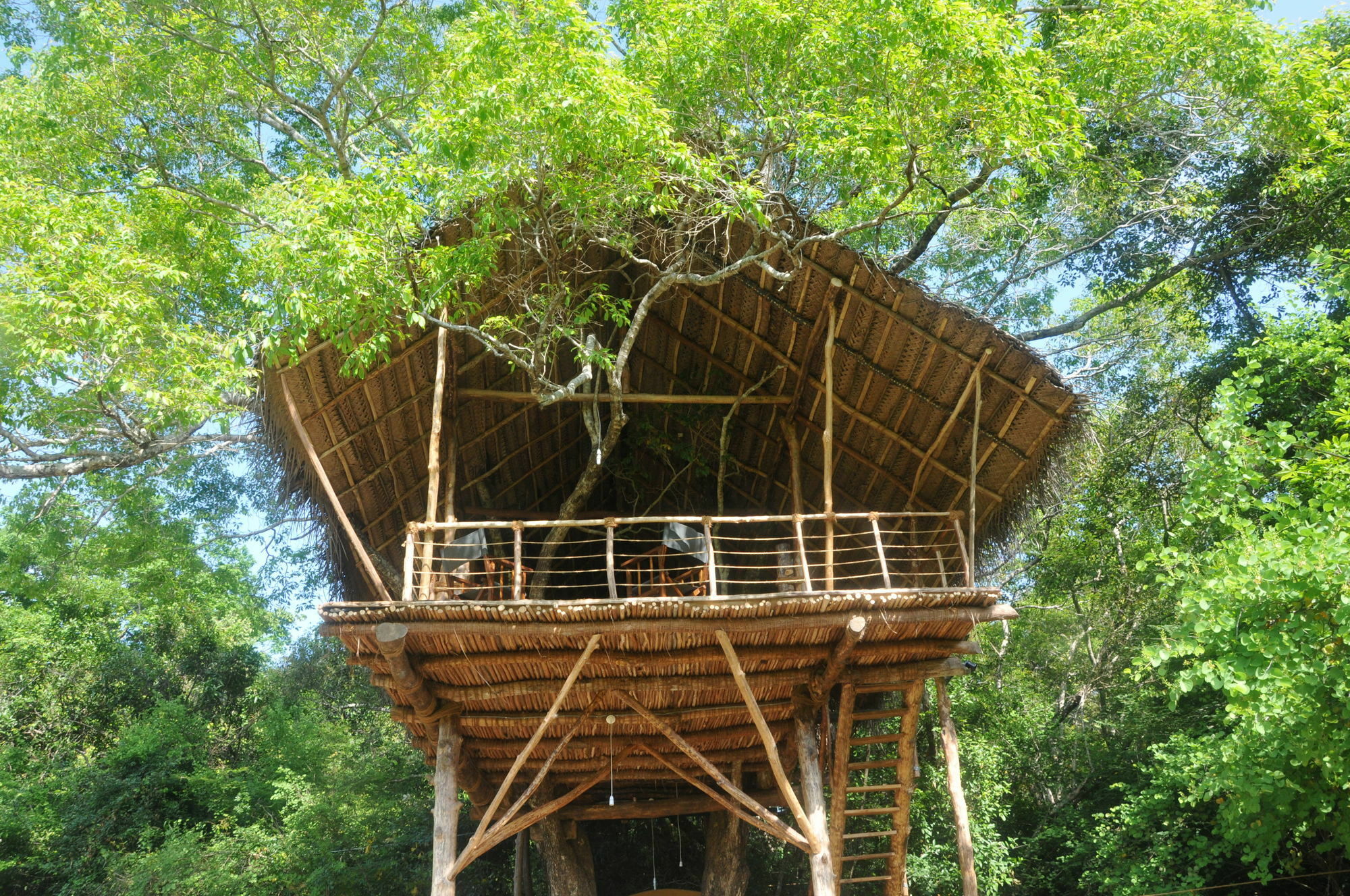 Back Of Beyond - Wild Haven Villa Сигирия Екстериор снимка